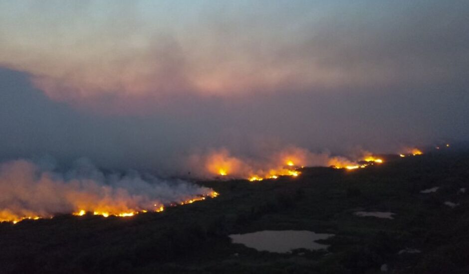 Em 2020, o bioma perdeu para o fogo área semelhante à do estado do Rio de Janeiro, foram 38.600 km² consumidos por incêndios.