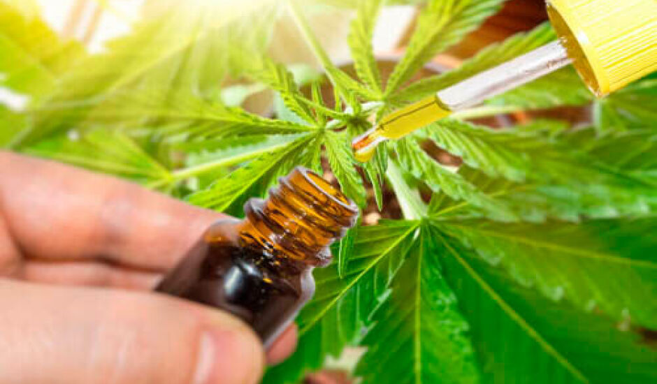 “Cannabis medicinal é um medicamento como um outro qualquer”, destaca médica