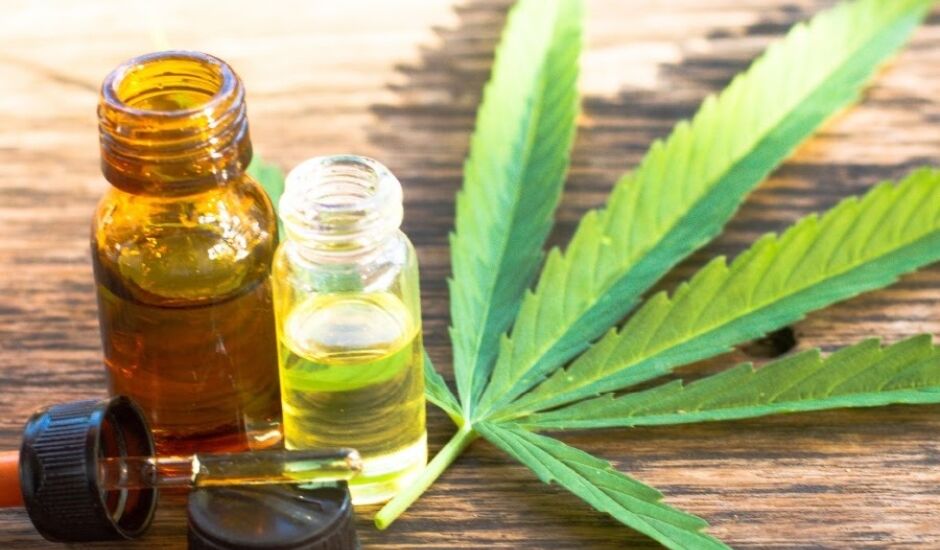 Uso da cannabis medicinal como tratamento alternativo vem sendo estudado há décadas