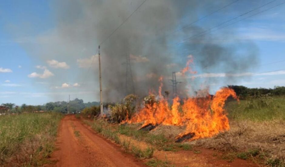 Mato Grosso do Sul  está sob perigo alto ou crítico para incêndios
