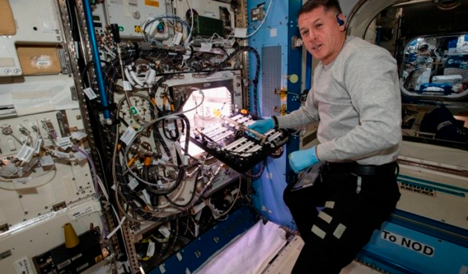 O astronauta Shane Kimbrough insere o dispositivo com as sementes no APH.