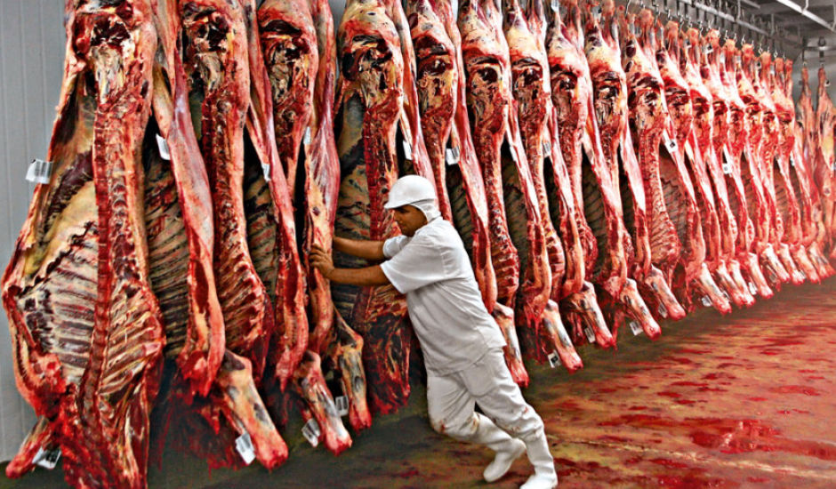 Complexo carnes teve aumento nas exportações de janeiro a agosto de 2021.