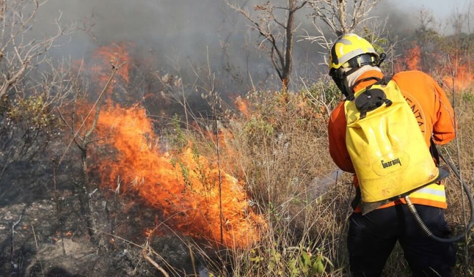 Autorizações de queima foram suspensas devido à seca estrema no bioma
