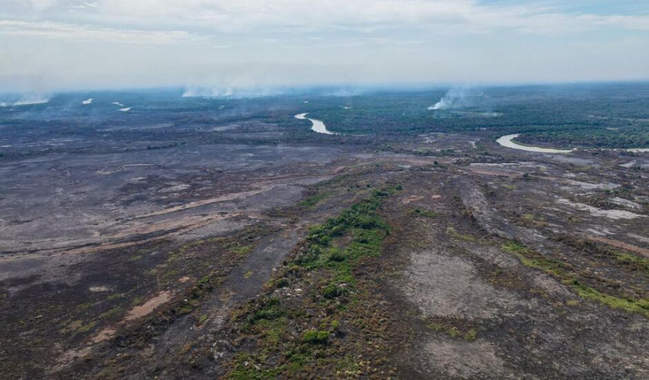 O recorde aconteceu em 2020, onde mais de 3.700.000 hectares do bioma foram queimados, isso significa que quase 30% do bioma naquele ano estava no fogo