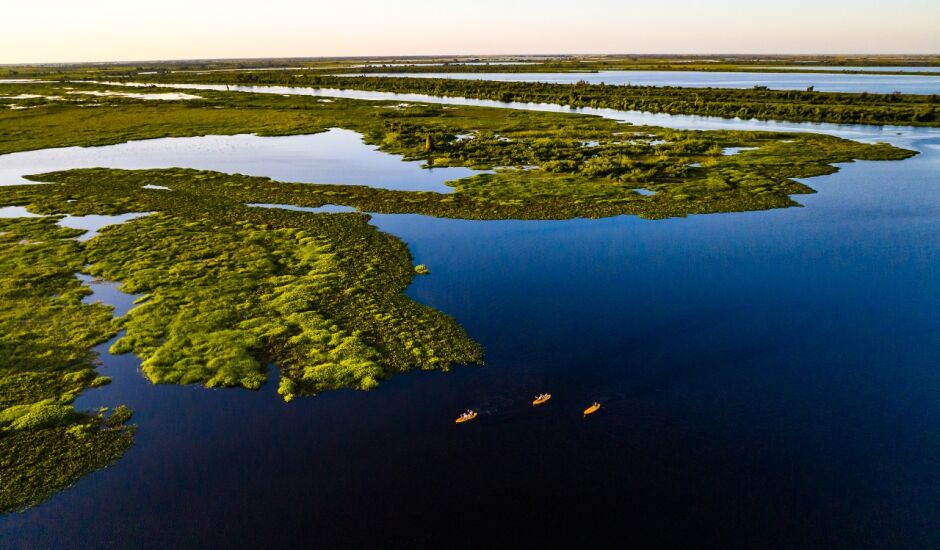 Legislação para preservar o Pantanal será votada em dezembro