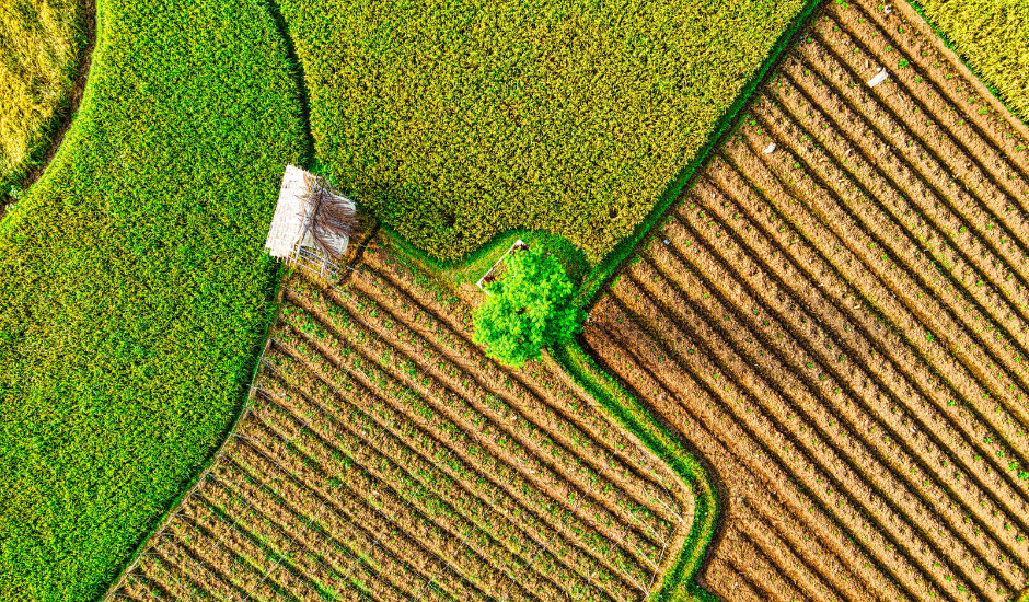 A inclusão da agricultura sustentável como parte essencial da resposta às mudanças climáticas, no documento final da COP28, foi um marco significativo.