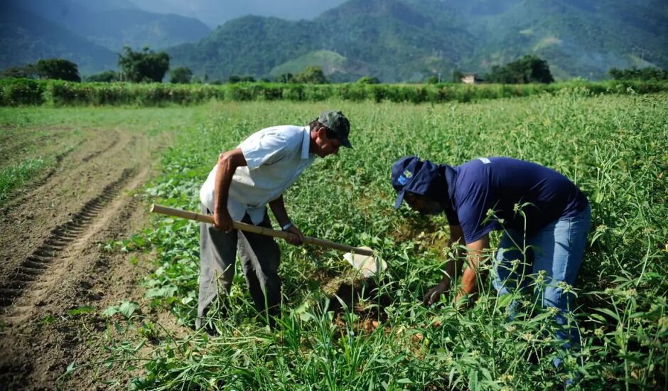 CNA apresentou seis propostas emergenciais ao Ministério da Agricultura