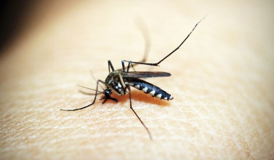 A média nacional aponta 201 casos de dengue por 100 mil habitantes.