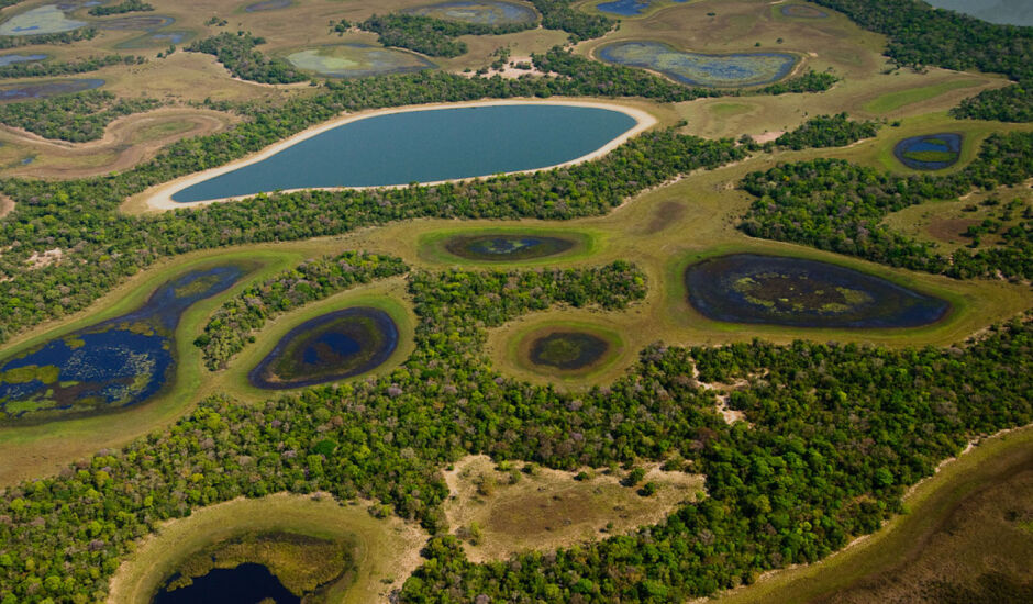 O Pantanal é a maior área úmida do mundo