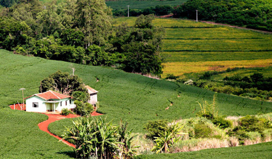 Em Campo Grande, é considerada pequena propriedade rural imóvel com até 60 hectares
