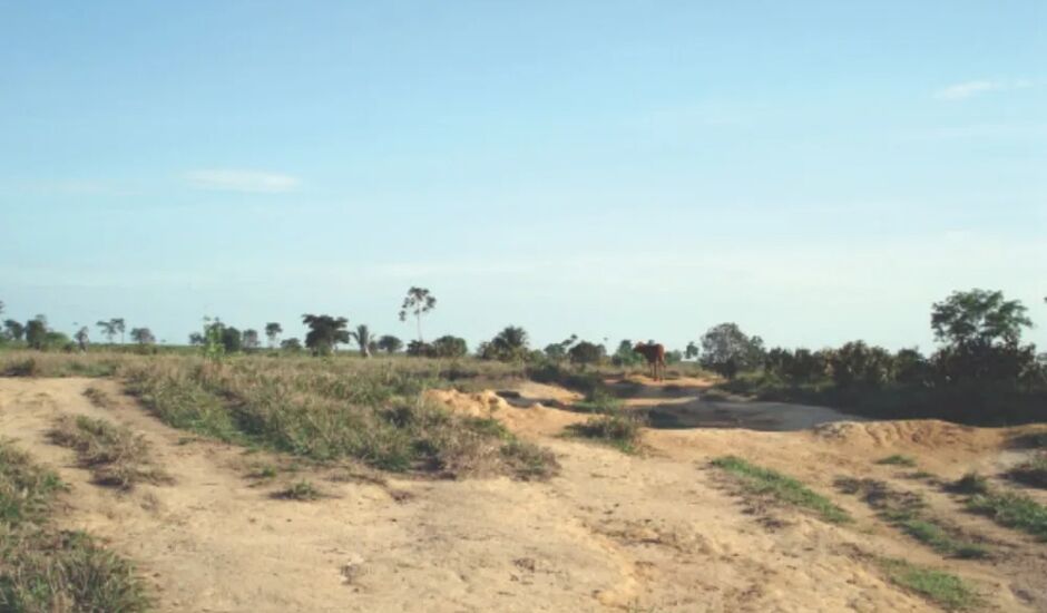 Mato Grosso do Sul reduziu a área de degradação em um milhão de hectares em 20 anos