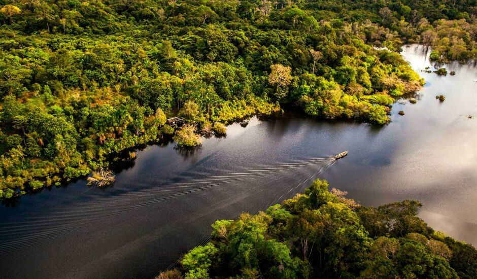 FVA foi criada em Manaus e atua com projetos para a preservação ambiental