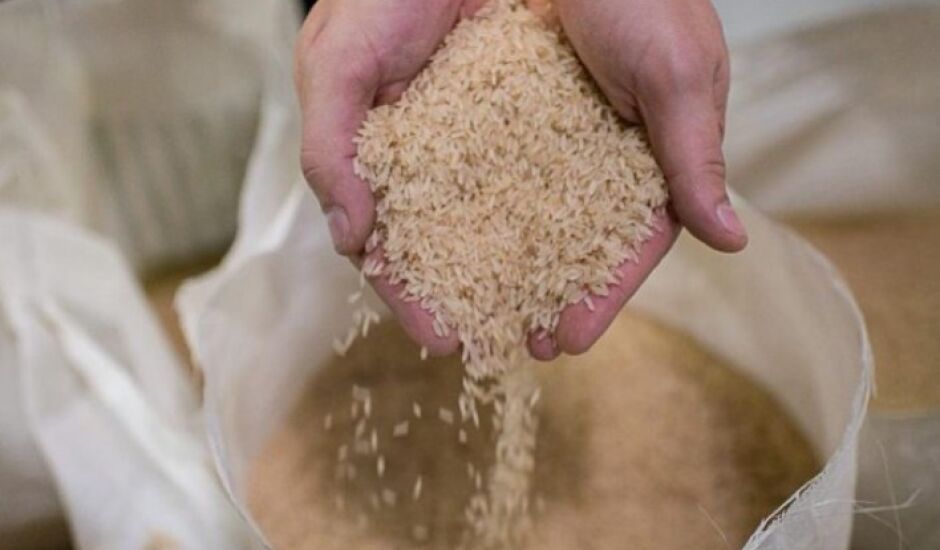 Governo zerou tarifa de importação de três tipos de arroz e anunciou compra pena Conab