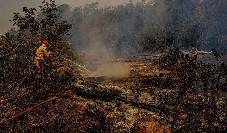 Somando MS e MT, o Pantanal já registrou 653 focos de calor em 2024