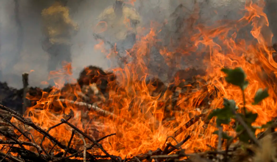 Quase um quarto do território brasileiro pegou fogo, ao menos uma vez, no período entre 1985 e 2023.