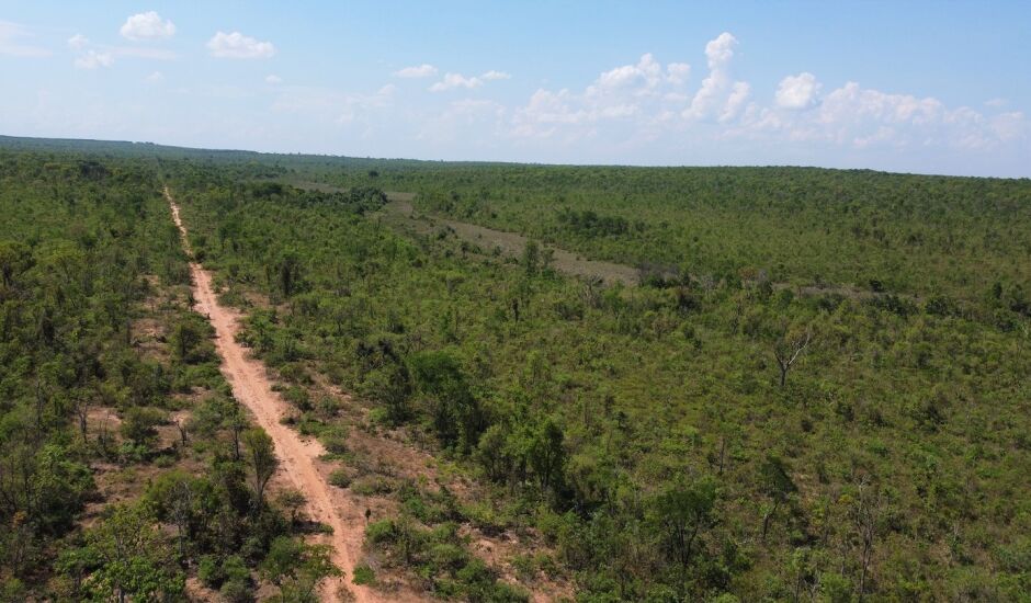 Em MS serão conectados 35 mil hectares de vegetação nativa no Cerrado