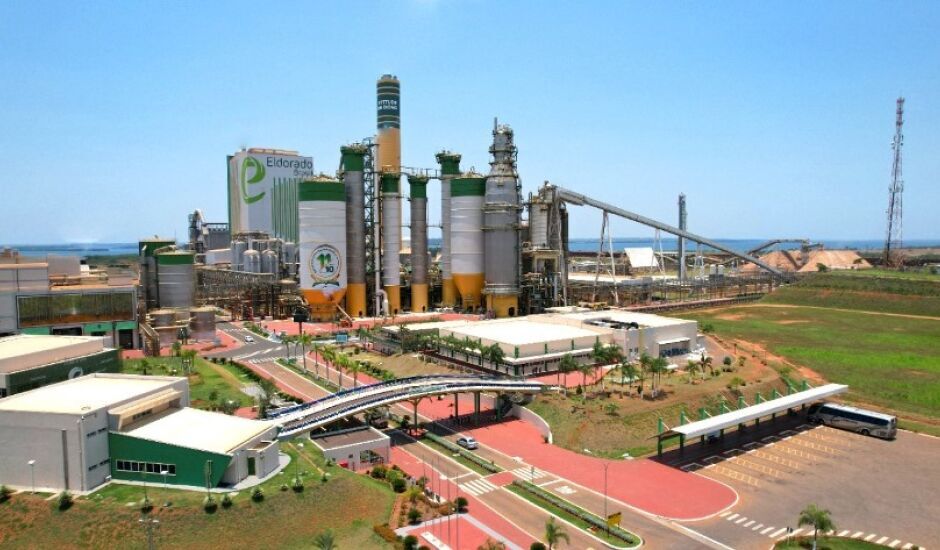  Eldorado Brasil conta com mais de 5 mil colaboradores e produz, em média, 1,8 milhão de toneladas de celulose por ano.