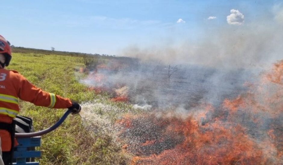 Até o momento já foram queimados 500 mil hectares, em Mato Grosso do Sul