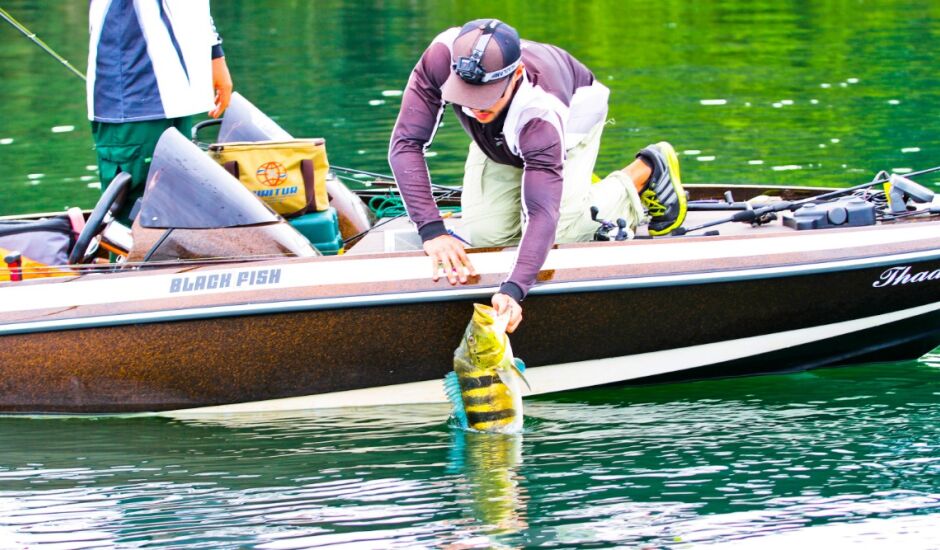 Tucunaré sendo devolvido ao rio durante pesca esportiva