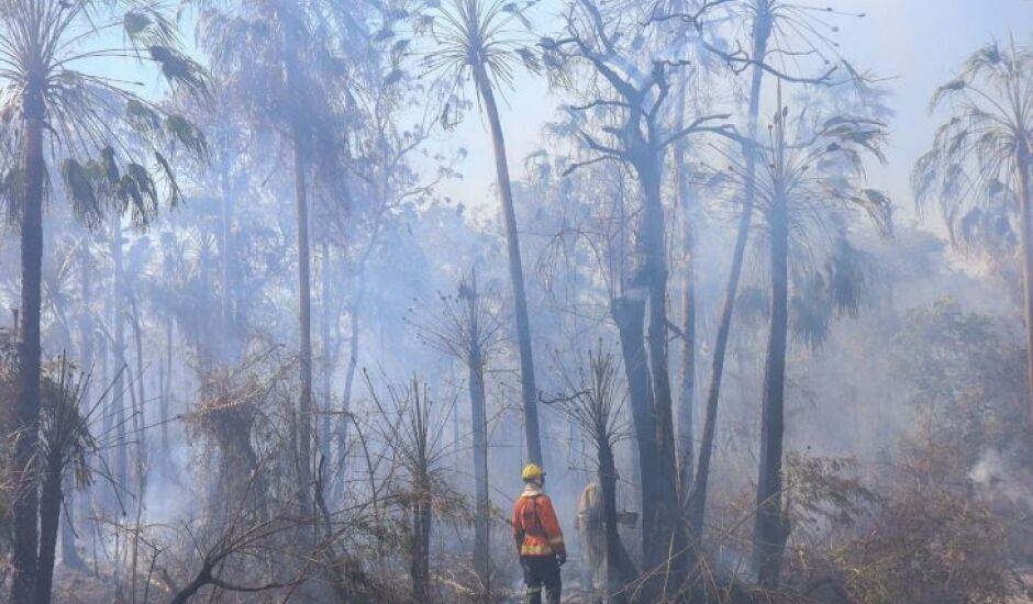 Operações de combate aos incêndios florestais foram intensificadas por conta das condições climáticas extremas