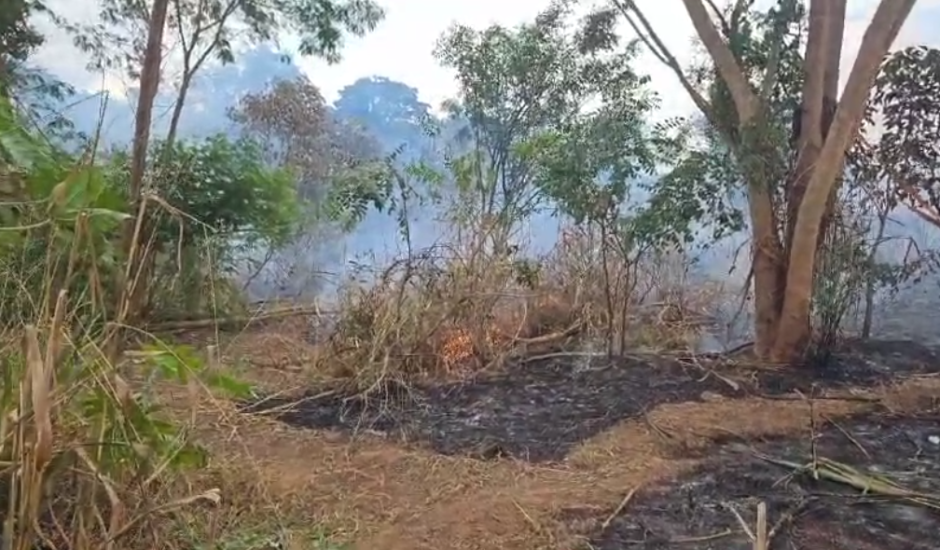 A Polícia Militar Ambiental salvou um animal silvestre que estava no local.