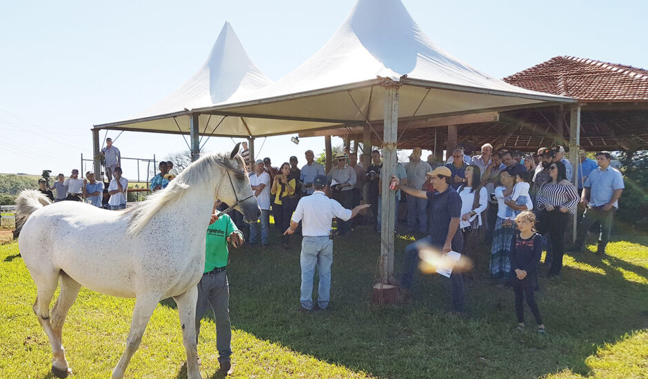 1ª edição da Expo Equestre aconteceu em 2017