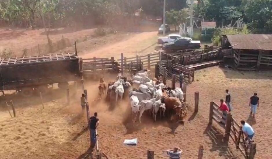 Crime ocorreu em agosto