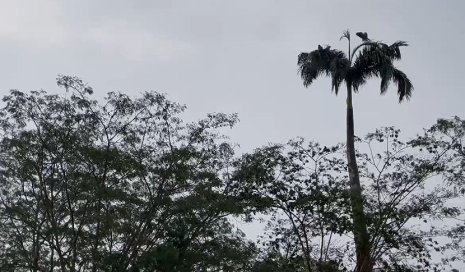 A chuva no município chegou 1,4 mm