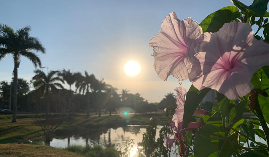 A temperatura máxima pode chegar aos 39°C