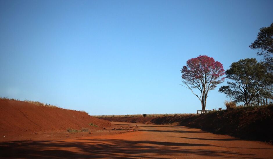 Em Campo Grande, o dia iniciou com 21°C e atinge máxima de 36°C