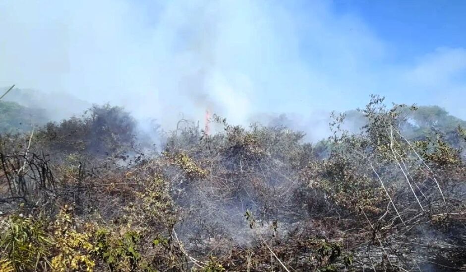 Outras quatro cidades paulistas passam pelo mesmo problema ambiental. 