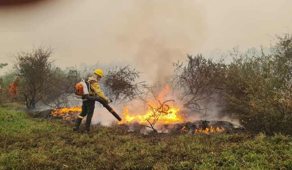 Área atingida chegou a 333 mil mil hectares