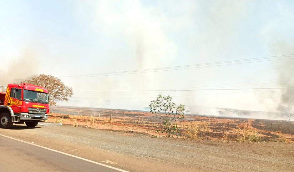 Pastagens foram  completamente devastadas pelos incêndios