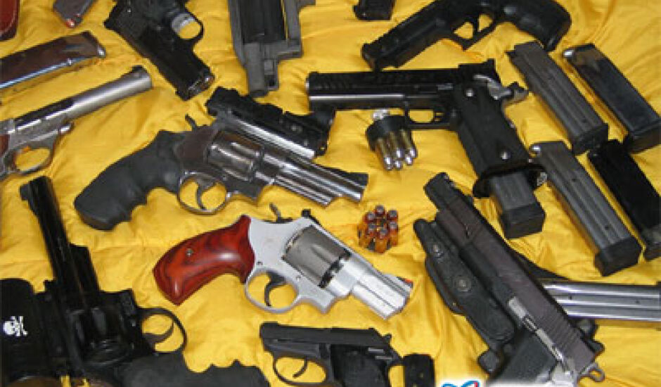 No site da PF (www.dpf.gov.br),  os donos das armas podem utilizar o serviço de registro provisório