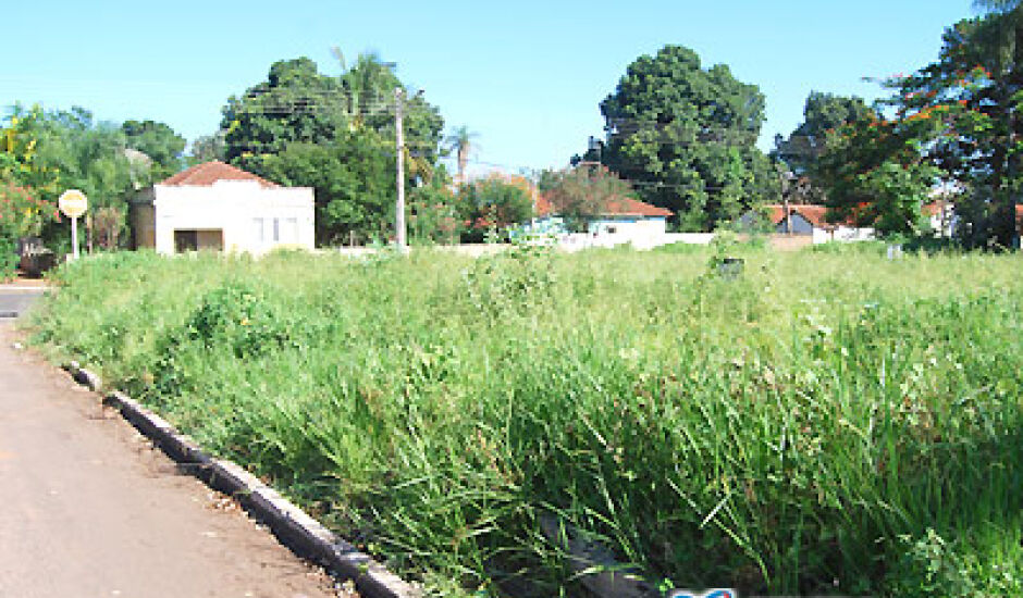 Terrenos baldios ocupam hoje 48% da área urbana do Município