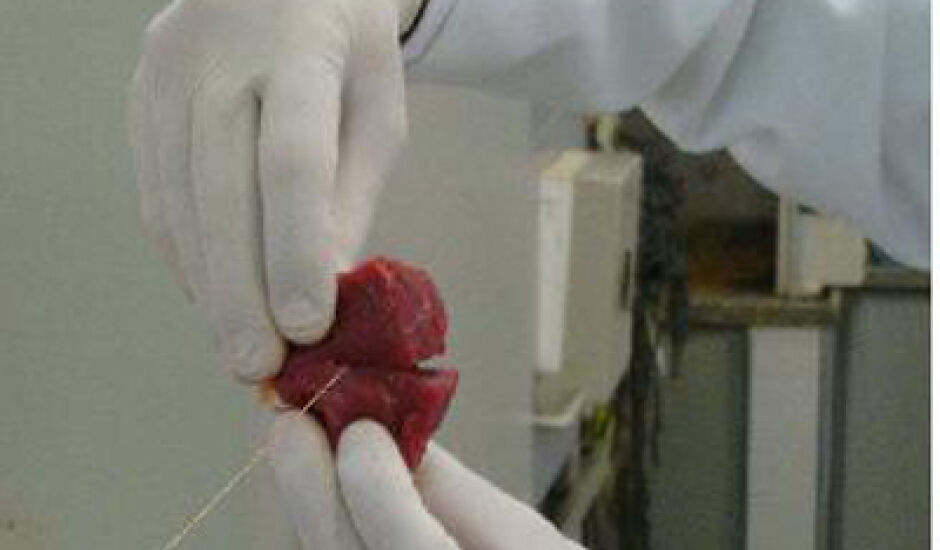 Uma linha com cerol é capaz de cortar um pedaço de carne 