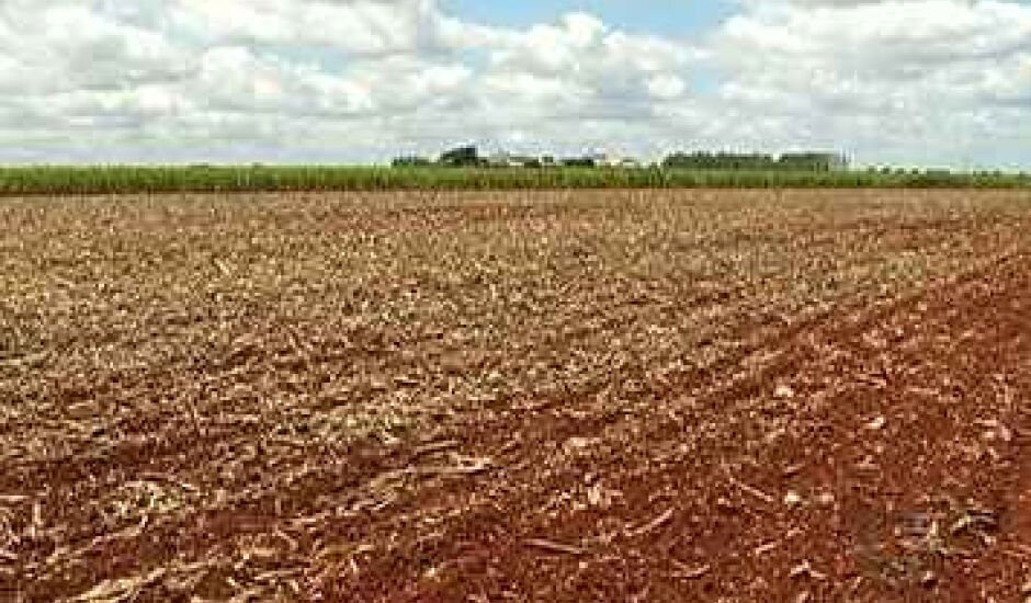 De acordo com o Conab, Mato Grosso do Sul deve cultivar 2,06 milhões de hectares