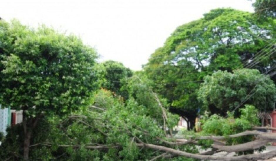 Conforme o Corpo de Bombeiros, foram 128 solicitações de quedas de árvores 