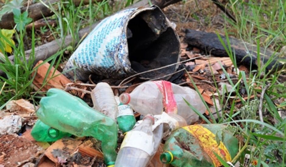 Acúmulo de lixo ajuda na proliferação da dengue
