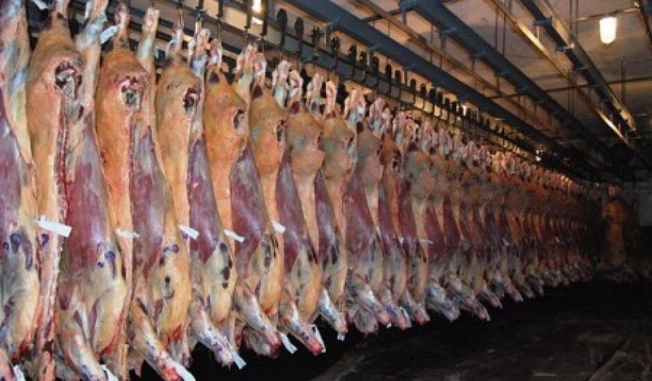 Carne estocada tem destino para Hong Kong