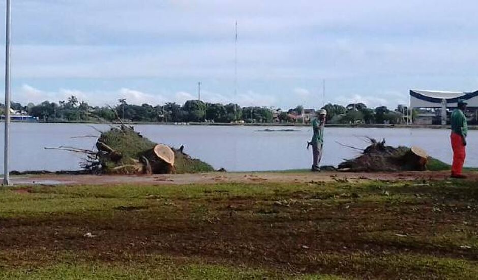 Vendaval da semana passada arrancou várias árvores na circular da Lagoa Maior em Três Lagoas 