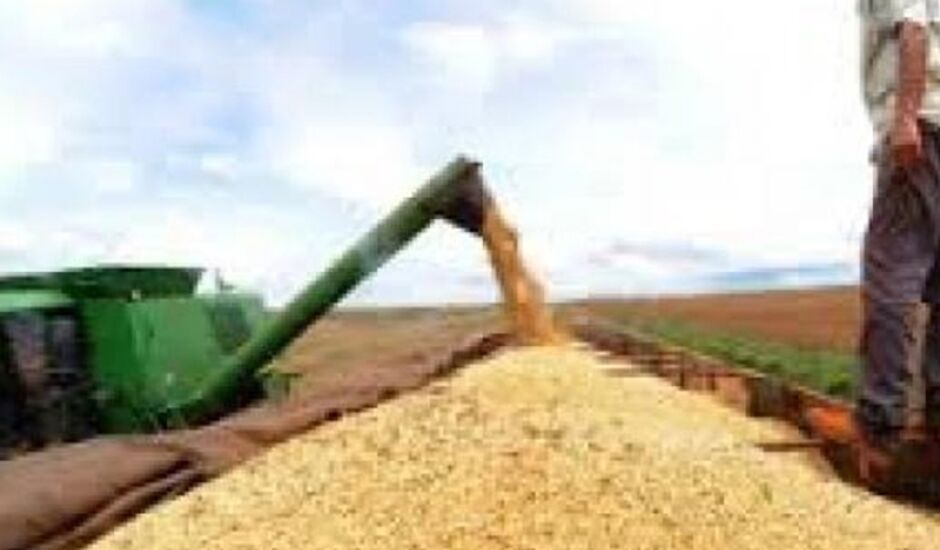 Safra de cereais, leguminosas e oleaginosas deve ter produção de 221,4 milhões de toneladas contra 184 milhões do ano passado                        