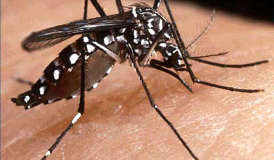 Em 2016, o município contabilizou 945 casos confirmados de dengue