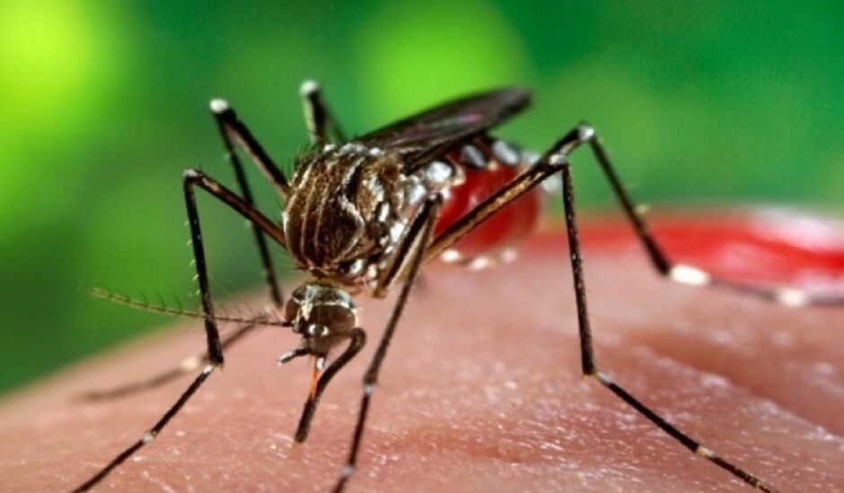 Dos 228 casos de dengue notificados em Três Lagoas até agora, 200 foram registrados entre os dias 4 de fevereiro e dia 25 de março.