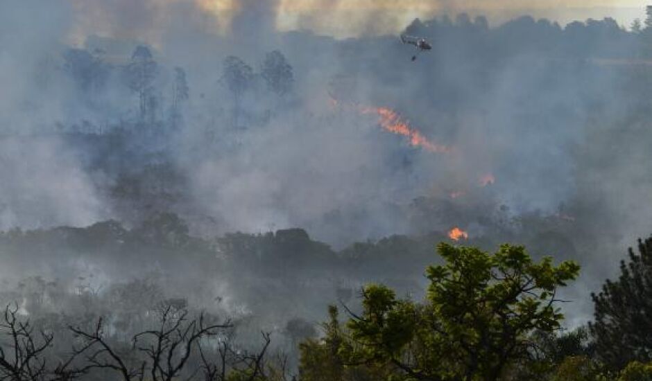Bombeiros tentam controlar incêndio em área de Cerrado na capital federal