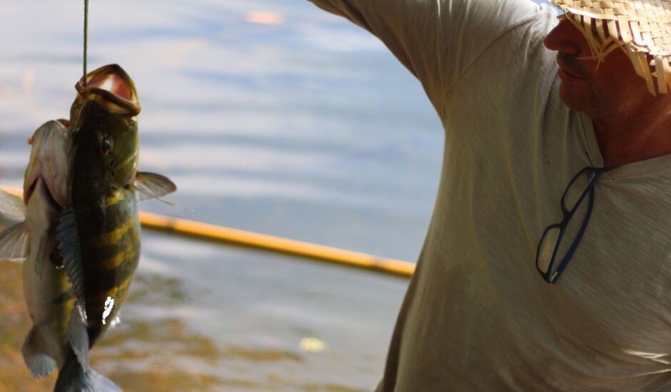 Pescador capturou tucunaré durante pescaria na região do Jupiá, em Três Lagoas