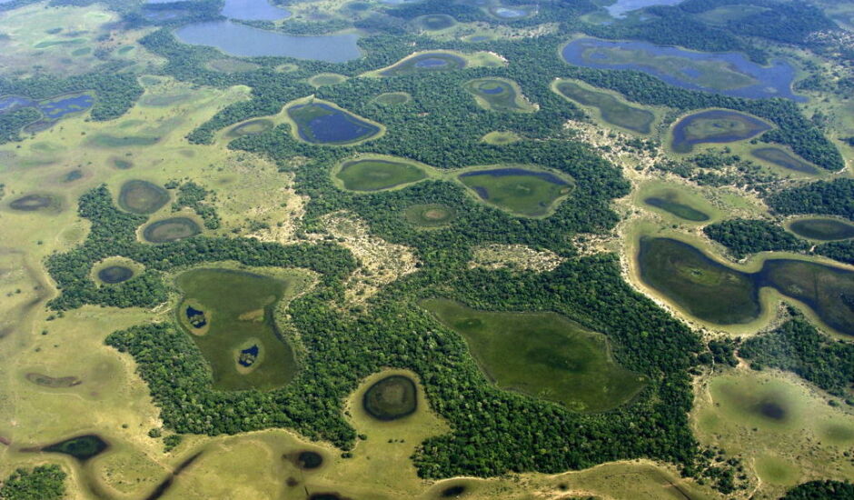Reunião pretender uniformizar as leis sobre o Pantanal