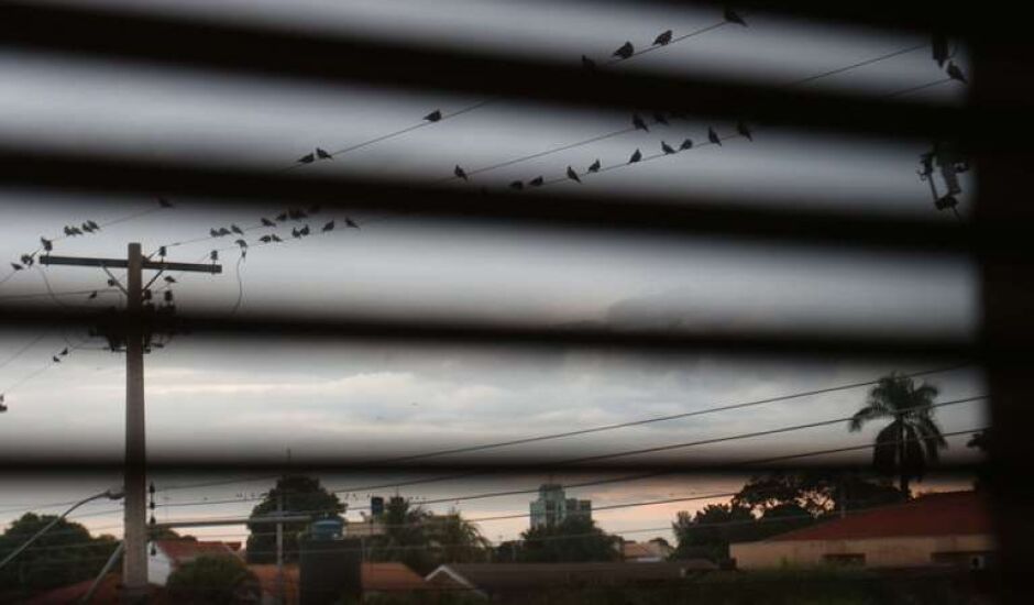Pássaros reunidos em rede elétrica chamam a atenção de quem passa pelo Centro de Três Lagoas e dos moradores