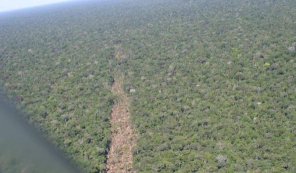 Entidades defendem veto de medidas provisórias que alteram limites de floresta e parque na Amazônia    Valter Campanato