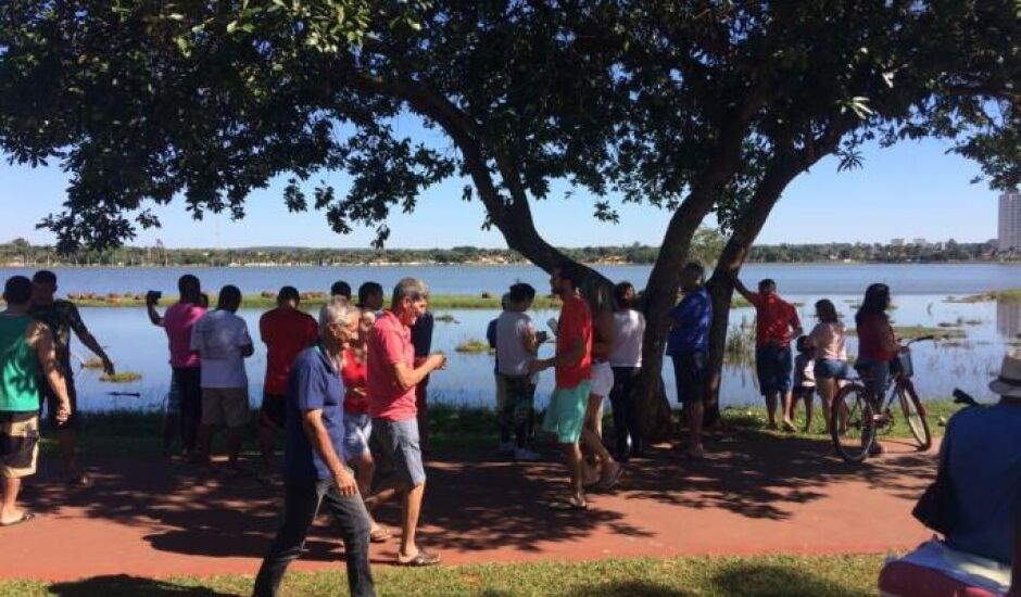Grupo de turistas visitou a Lagoa Maior, na manhã desta segunda-feira (19), e o que chamou a atenção de todos foram as capivaras.